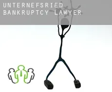 Unternefsried  bankruptcy lawyer