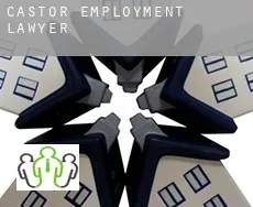 Castor  employment lawyer