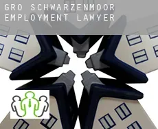 Groß Schwarzenmoor  employment lawyer