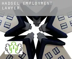 Hadsel  employment lawyer