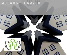 Wodarg  lawyer