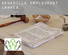 Aguadilla  employment lawyer