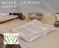 Bachem  criminal lawyer