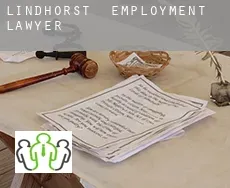 Lindhorst  employment lawyer