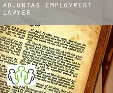 Adjuntas  employment lawyer