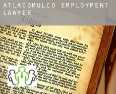 Atlacomulco  employment lawyer