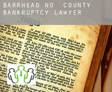 Barrhead County  bankruptcy lawyer