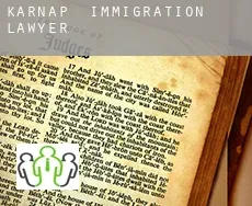 Karnap  immigration lawyer