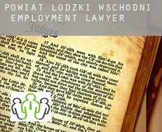 Powiat Lodzki Wschodni  employment lawyer