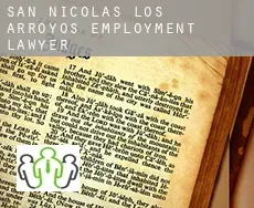 San Nicolás de los Arroyos  employment lawyer