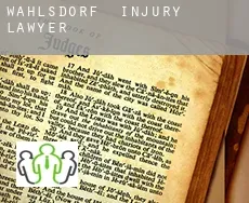 Wahlsdorf  injury lawyer