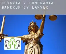 Kujawsko-Pomorskie  bankruptcy lawyer