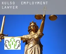 Külso  employment lawyer