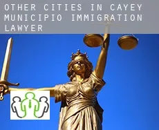 Other cities in Cayey Municipio  immigration lawyer