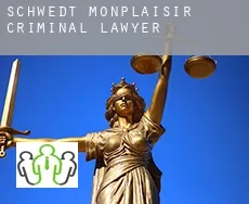 Schwedt - Monplaisir  criminal lawyer