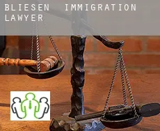 Bliesen  immigration lawyer