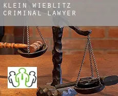 Klein Wieblitz  criminal lawyer