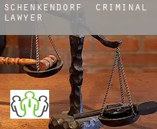 Schenkendorf  criminal lawyer