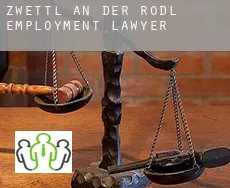 Zwettl an der Rodl  employment lawyer