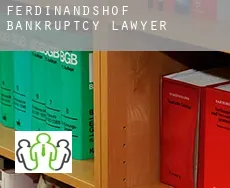 Ferdinandshof  bankruptcy lawyer