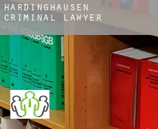 Hardinghausen  criminal lawyer