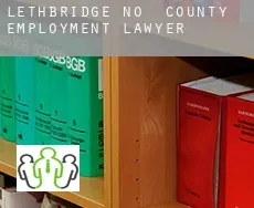 Lethbridge County  employment lawyer