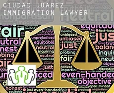 Ciudad Juárez  immigration lawyer