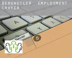 Bergweiler  employment lawyer