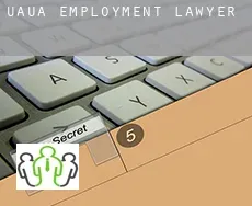 Uauá  employment lawyer