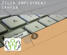 Zilia  employment lawyer