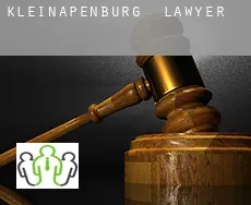 Kleinapenburg  lawyer