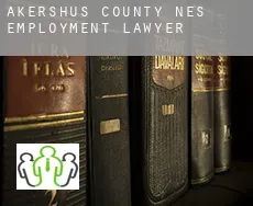 Nes (Akershus county)  employment lawyer