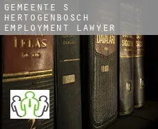 Gemeente 's-Hertogenbosch  employment lawyer