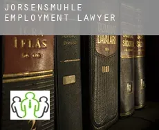 Jörsensmühle  employment lawyer