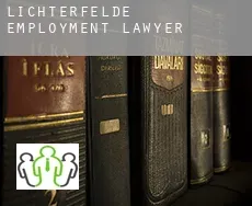 Lichterfelde  employment lawyer