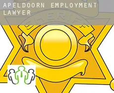 Apeldoorn  employment lawyer