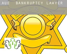 Aue  bankruptcy lawyer