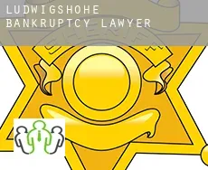 Ludwigshöhe  bankruptcy lawyer