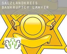 Salzlandkreis  bankruptcy lawyer