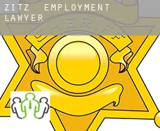 Zitz  employment lawyer