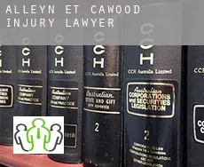 Alleyn-et-Cawood  injury lawyer