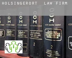 Holsingerort  law firm