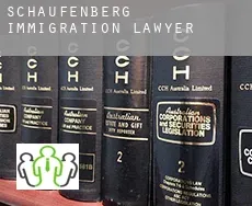 Schaufenberg  immigration lawyer