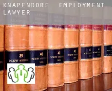 Knapendorf  employment lawyer