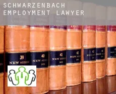 Schwarzenbach  employment lawyer