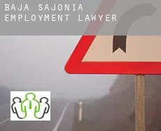 Lower Saxony  employment lawyer