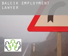 Balçık  employment lawyer