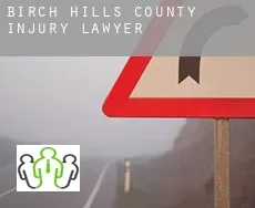 Birch Hills County  injury lawyer