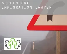 Sellendorf  immigration lawyer