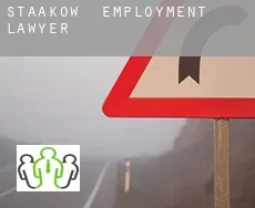 Staakow  employment lawyer